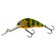 Salmo Hornet Floating Gold Fluo Perch 4 cm 3 g