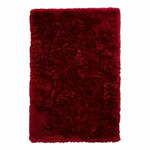 Rubin crveni tepih Think Rugs Polar, 80 x 150 cm