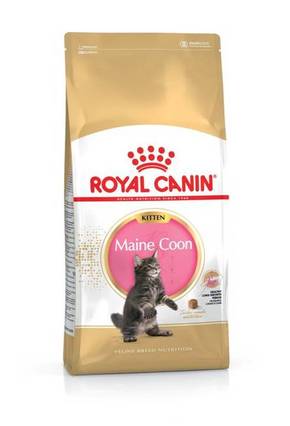 Royal Canin Maine Coon Kitten - Maine Coon suha hrana za mačiće 2 kg
