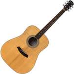 Pasadena PD-500 All Solid Natural Gloss Akustična gitara (Samo otvarano)