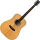 Pasadena PD-500 All Solid Natural Gloss Akustična gitara (Samo otvarano)