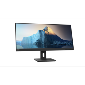 Lenovo ThinkVision E29w-20 monitor