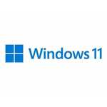 Microsoft Windows 11 Pro, DSP / OEM