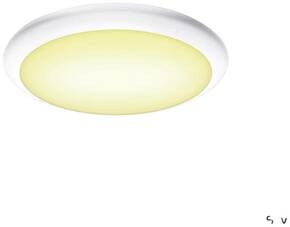 SLV RUBA 27 1005089 LED stropna svjetiljka bijela 12 W toplo bijela do neutralno bijela moguča zidna montaža