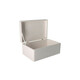 AtmoWood Drvena kutija s poklopcem 30 x 20 x 14 cm bez ručke - bijela