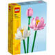 LEGO Iconic Cvjetovi lopoča 40647