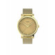 Sat Timex Originals TW2U05400 Gold/Gold