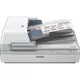 Epson Workforce DS-60000 skener, 600x600 dpi, A3