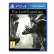 The Last Guardian PS4 igra