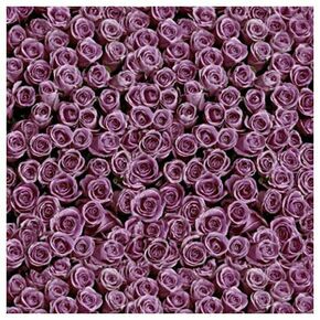 Click Props Background Vinyl with Print Roses Purple 1