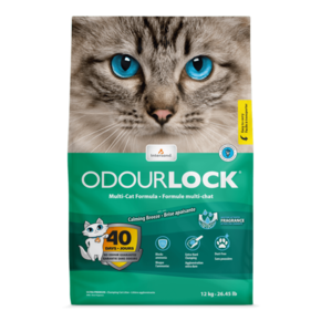 Intersand Odour Lock pijesak za mačke