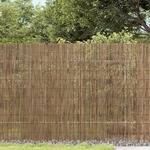 vidaXL Vrtna ograda 600x100 cm od trske