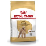 Royal Canin Poodle Adult - suha hrana za pudlice 0,5 kg