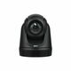 Webcam AVer DL30, 3000 g
