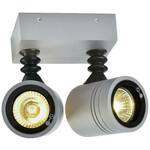MYRA WALL, vanjska zidna i stropna svjetiljka, dvosmjerna, QPAR51, IP55, srebrno-siva, max.100W SLV MYRA 233094 LED vanjsko zidno svjetlo GU10 50 W siva