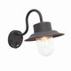 ENDON 70331 | Chesham Endon zidna svjetiljka sa senzorom 1x E27 IP44 antik crno, prozirno