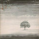 Genesis - Wind And Wuthering (Remastered) (LP)
