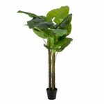 Decorative Plant 75 x 60 x 155 cm Green Philodendron