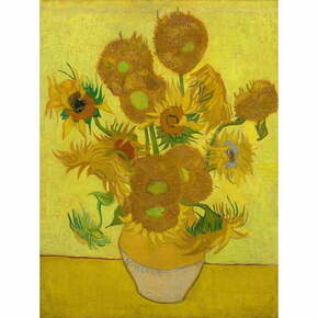 Slika reprodukcija 50x70 cm Sunflowers