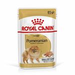 Royal Canin Pomeranian Adult mokra hrana 12 x 85 g