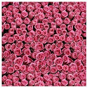 Click Props Background Vinyl with Print Rose Pink 1