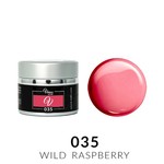 Vasco Paint Gel 035 Wild Raspberry 5g