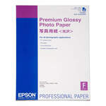 Epson Premium Glossy Photo Paper, DIN A2, 255 g/m², 25 listova, Original [C13S042091]