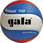 Gala School H nacionalna lopta za odbojku
