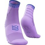Compressport Training Socks 2-Pack Lupine/Dazzling Blue T2 Čarape za trčanje