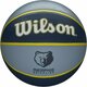 Wilson NBA Team Tribute Basketball Memphis Grizzlies 7