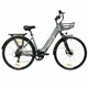 LUCHIA Antares električni bicikl - sivi