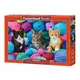 Castorland puzzle 1000 kom kittens in yarn store