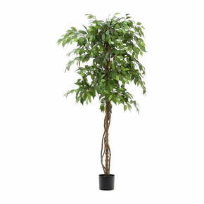 Umjetni fikus (visina 180 cm) Ficus – Kave Home