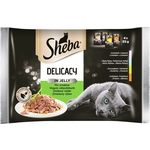 Sheba Delicacy mokra hrana - mješoviti izbor 4 x 85 g