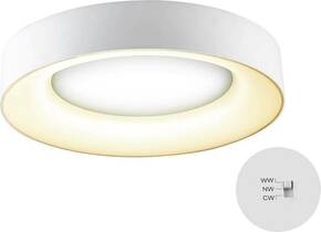 EVN R40250125 LED stropna svjetiljka bijela 25 W toplo bijela do bijela dnevnog svijetla moguča zidna montaža