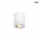 Stropna svjetiljka (okrugla) Triledo CL SLV - Bijela
