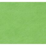 Linkstar Fleece Cloth FD-109 3x6m Chroma Green zelena transparentna studijska pozadina od sintetike Non-washable