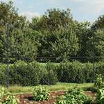 Žičana ograda sa šiljastim držačima antracit 1 4 x 10 m