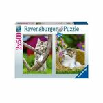 Puzzle Ravensburger Kittens 2 x 500 Dijelovi , 862 g