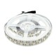 LED traka BIJELA, 120x3528 LED/m, samoljepiva, IP20, hladno bijelo, 1 metar
