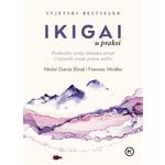 Ikigai u praksi