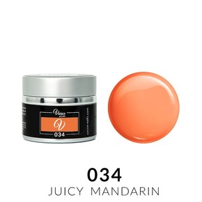 Vasco Paint Gel 034 Juicy Mandarin 5g