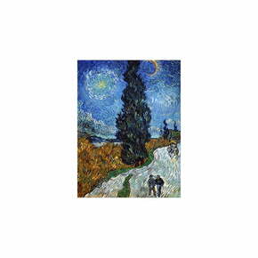 Reprodukcija slike Vincent Van Gogh - Country Road in Provence by Night