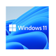 Microsoft Windows 11 Pro, 64bit