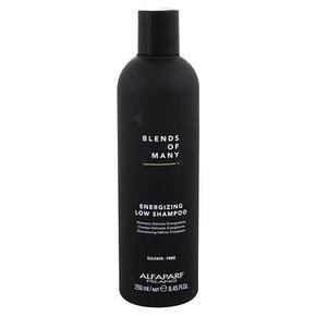 ALFAPARF MILANO Blends Of Many Energizing šampon za oslabljenu kosu protiv ispadanja kose 250 ml za muškarce