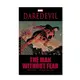 Daredevil: The Man Without Fear