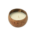 AtmoWood Mirisna svijeća od kokosa - Jasmin
