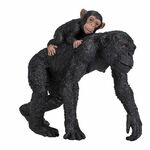 Čimpanza s mladunčetom