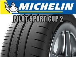 Michelin ljetna guma Pilot Sport Cup 2