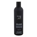 ALFAPARF MILANO Blends Of Many Rebalancing šampon protiv peruti za masnu kosu 250 ml za muškarce